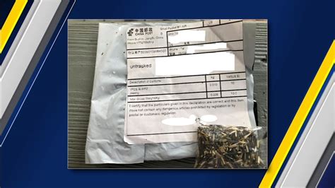China seed scam